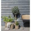 Rattan bélelt kosár 4 db Rattan bélelt kosár 4 db