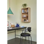 Tölgyfa fali polc üvegajtóval