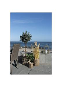 Rattan füles bélelt kosár 3 db