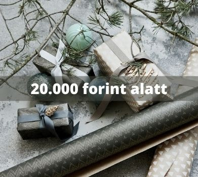 Black Friday 20.000 alatt