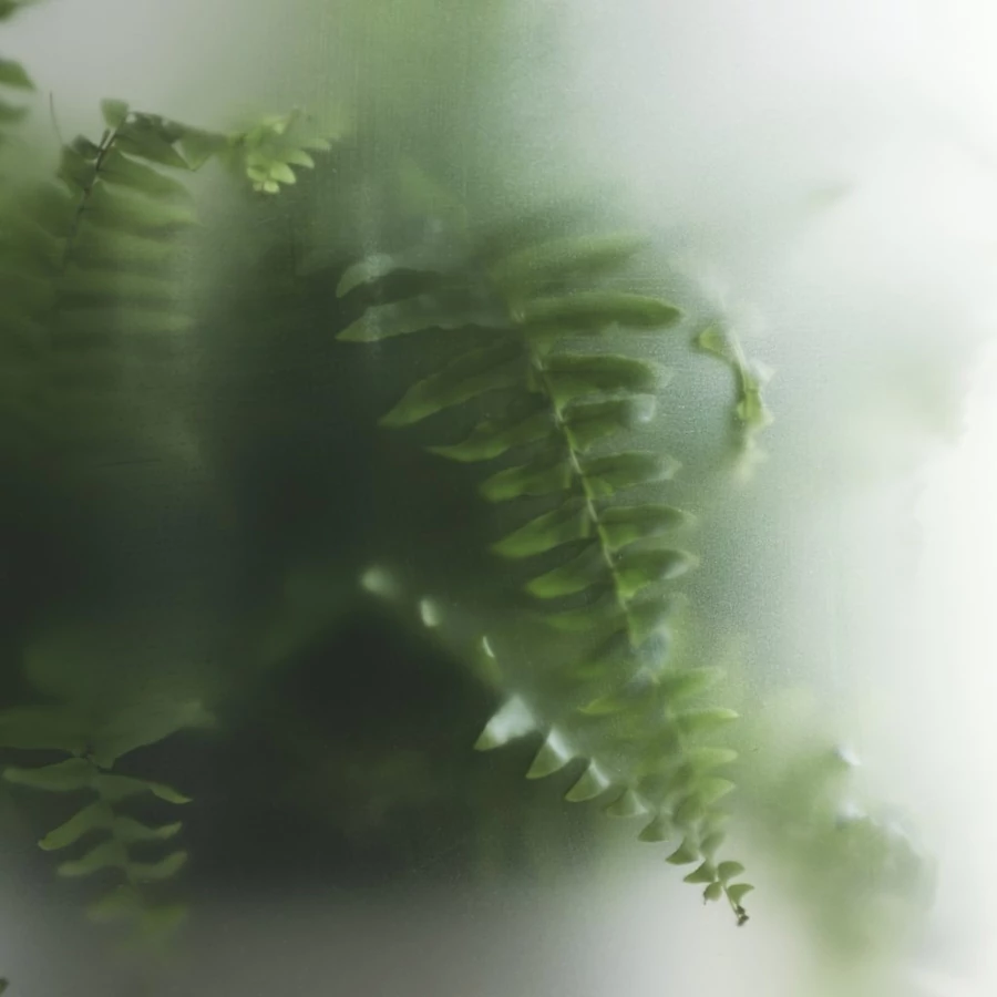 Nebl Mega egyedi üveg kaspó